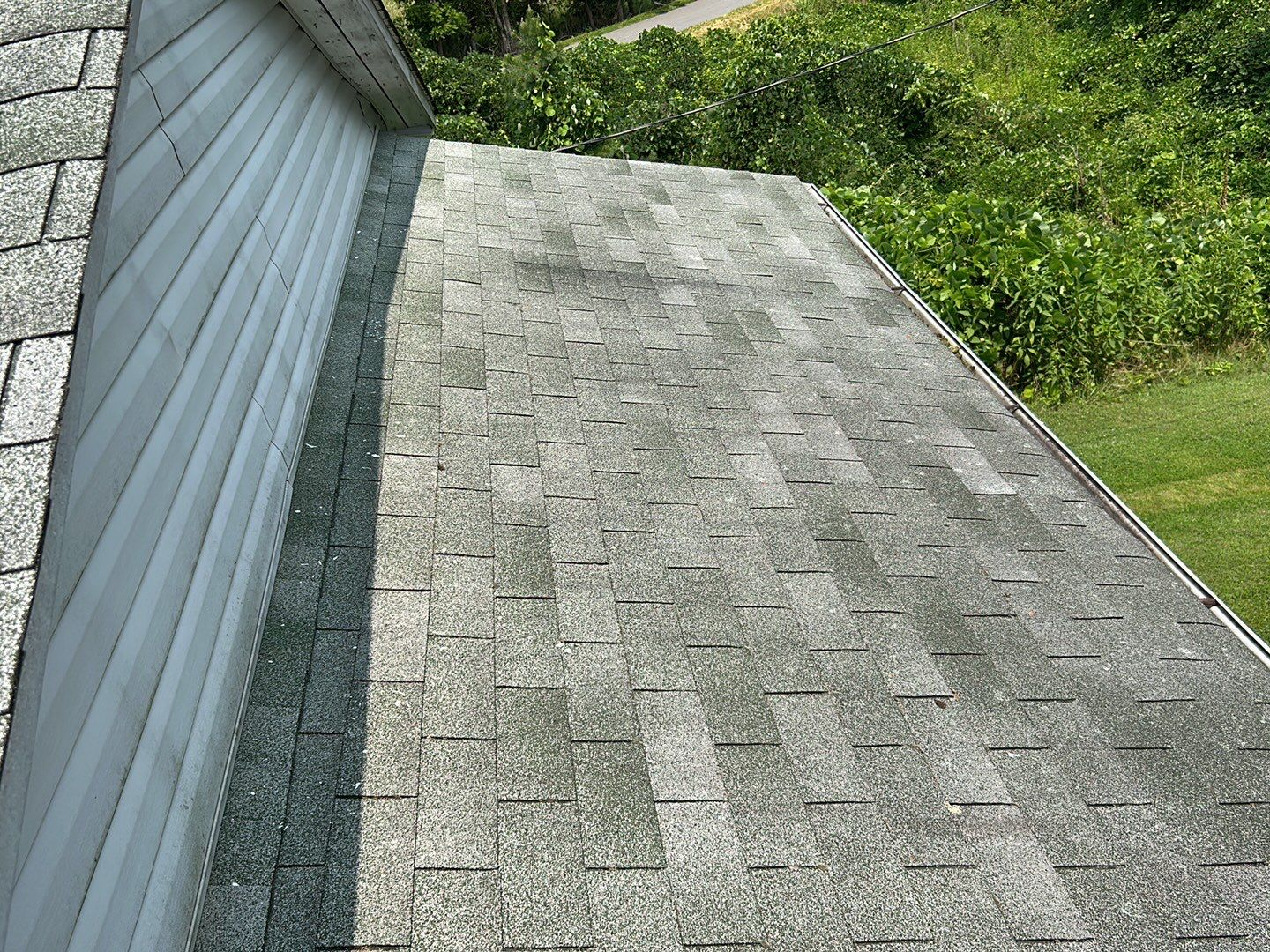 Project media